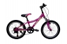 Lorak Junior 206 Girl  