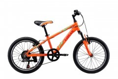 Lorak Junior 206 Boy  
