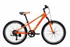Lorak Junior 246 Boy  