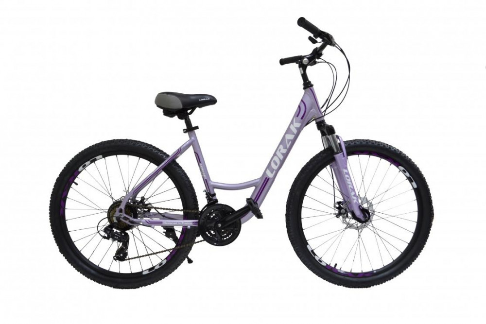 LORAK COMFORT LADY - р.19 GRAY/PURPLE (26