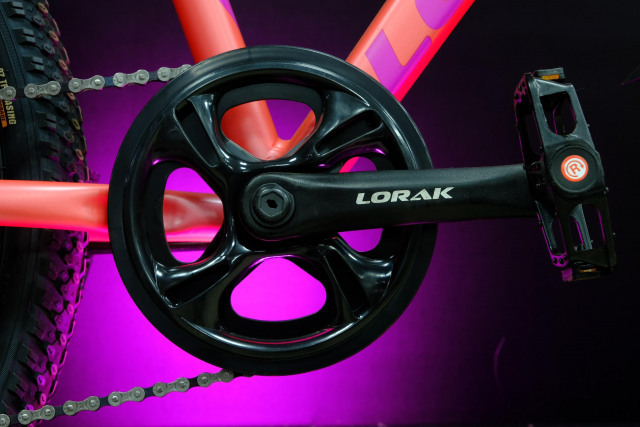 Lorak Shark M 24 Персиковый/Фиолетовый  