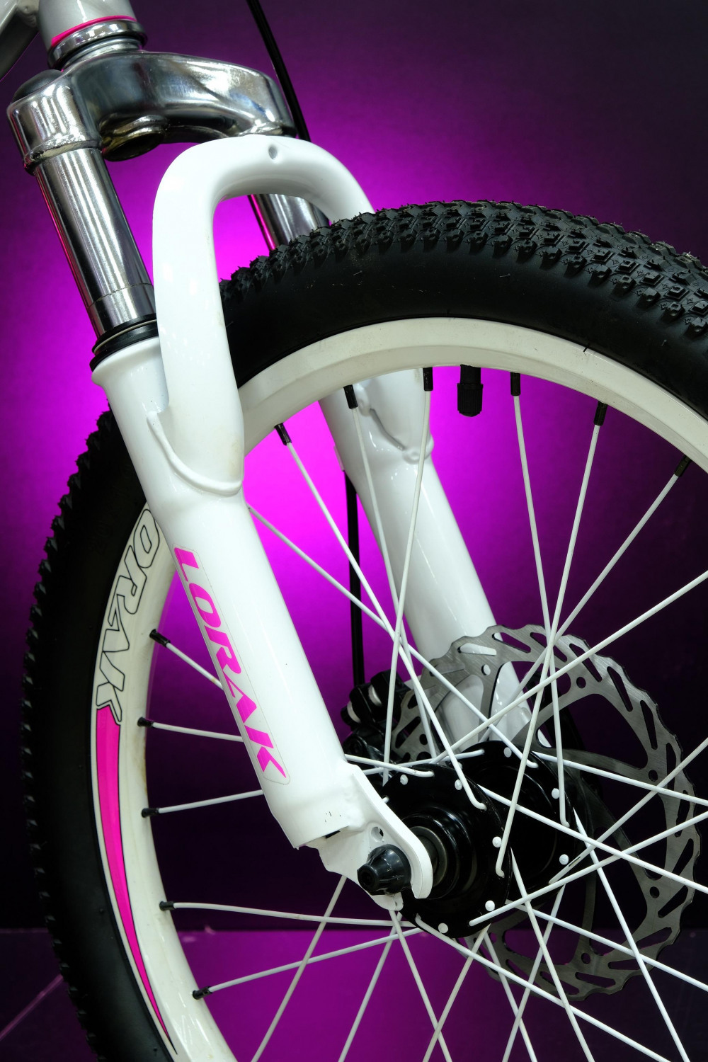 Lorak Shark 20 White  