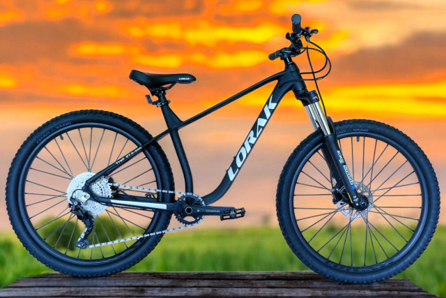 LORAK Trail 27,5-300  