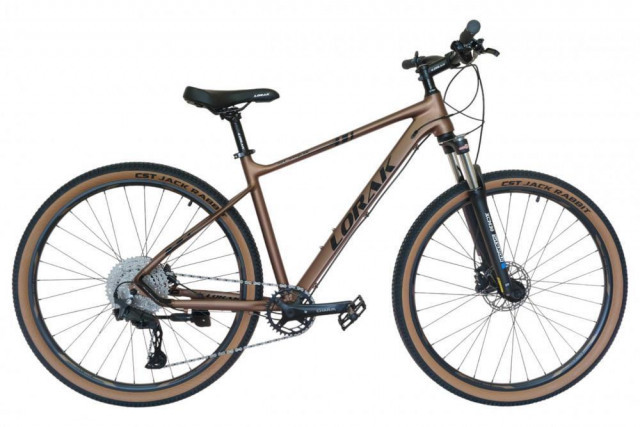 LORAK Sel 9750 SE Матовый Коричневый 23р (на рост 189-205)  