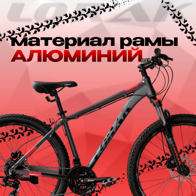 Lorak LX5 HD Матовый Чёрный/Серый рама 19 (на рост 171-182)  