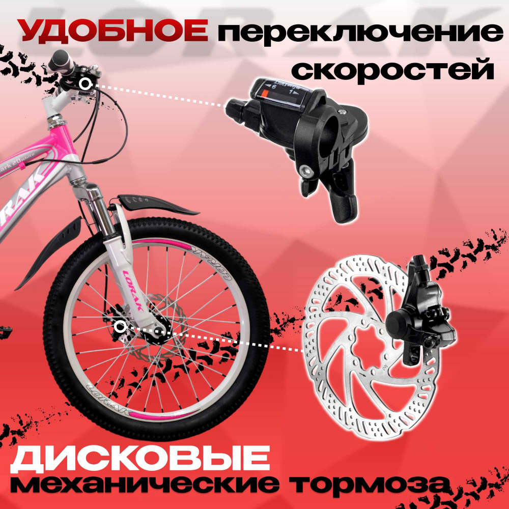 Lorak Shark 20 White  