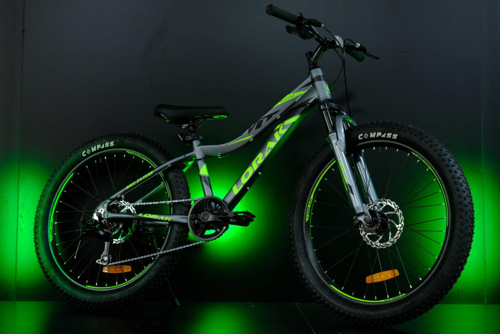 LORAK Safe PLUS 24 Shiny Silver/Green (24