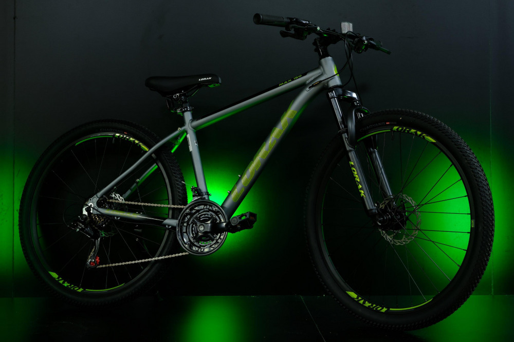 LORAK MAX 150 - 17р Matt Gray/Green (26