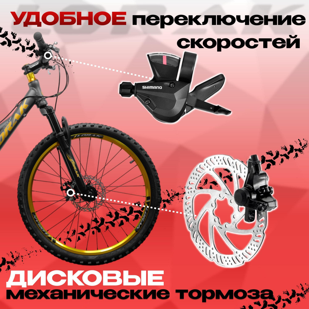 Lorak Magic 24 Серый/Золотой  