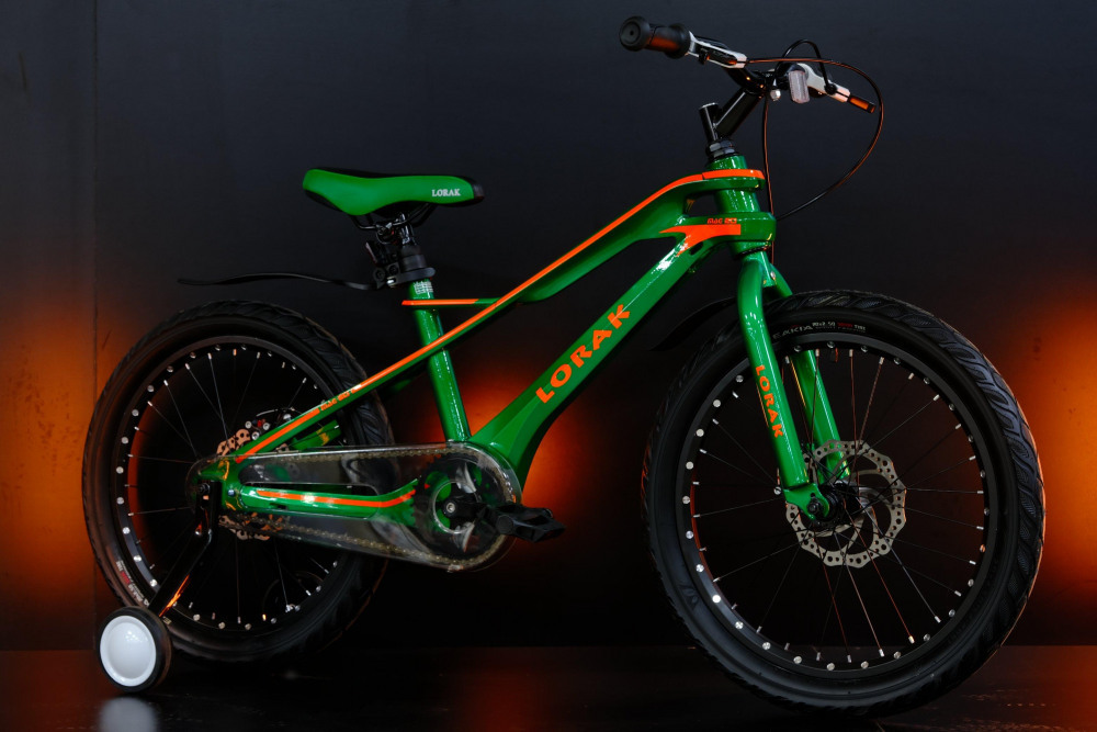LORAK Mag 20 Disk Green/Black (20