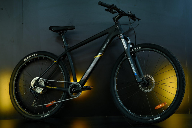 LORAK Carbon 29 200 Матовый Чёрный/Золотой глянец  