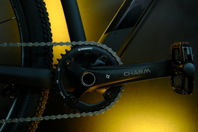 LORAK Carbon 29 200 Матовый Чёрный/Золотой глянец  