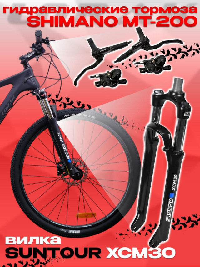 LORAK Carbon 29 200 Матовый Чёрный/Золотой глянец  