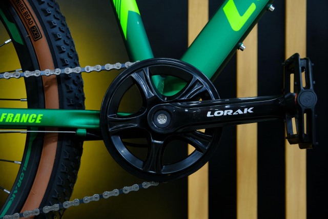 LORAK Fast Brown 24 Матовый Зелёный  
