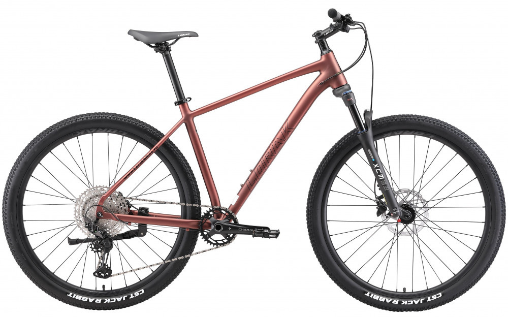 LORAK Sel 9950 XT - 23р Matt Brown (29
